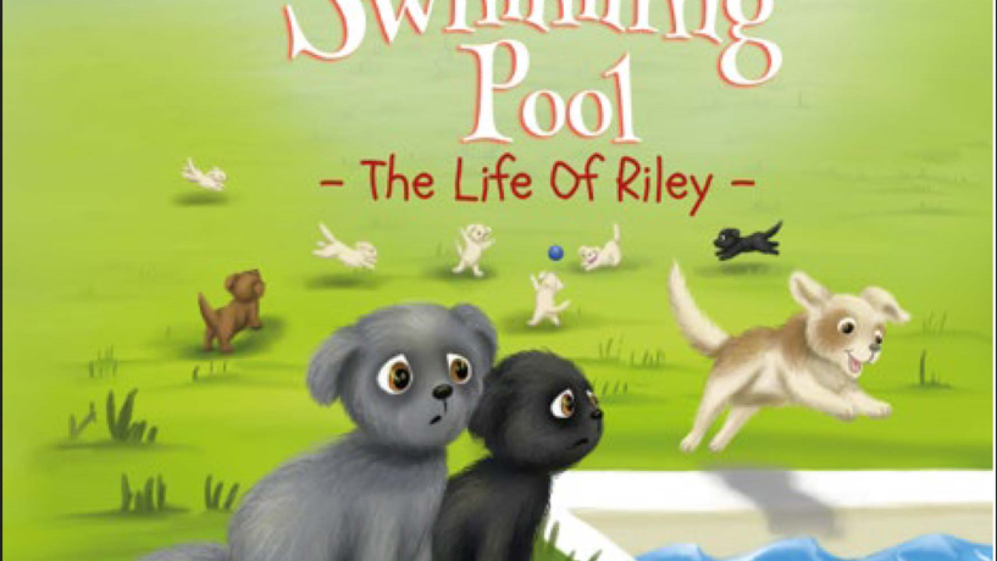 Around our Swimming Pool